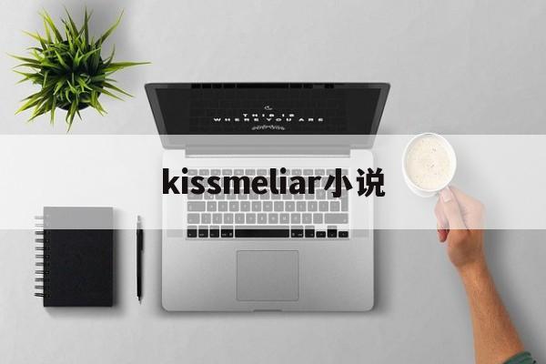 kissmeliar小说(kiss me, liar chapter)